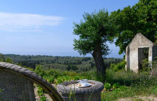 Villa Rosa - Foto 27