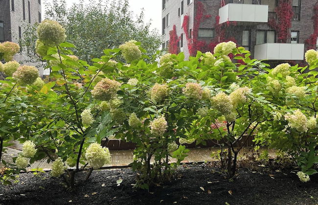 Stylish Seaview 4 Beds Central Apartment Sorenga - Photo 64