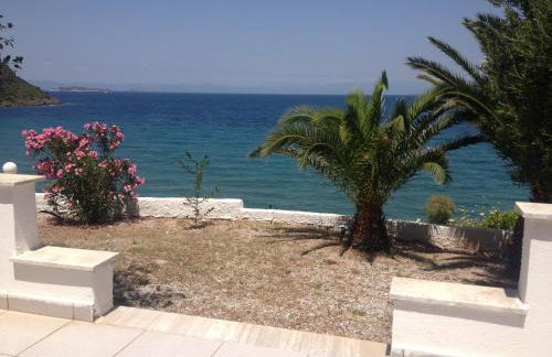 George Paradise - Foto 7