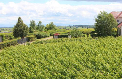 Panoramablick - Foto 9