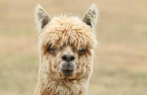 Waterside Lodges Cambridge - Foto 47