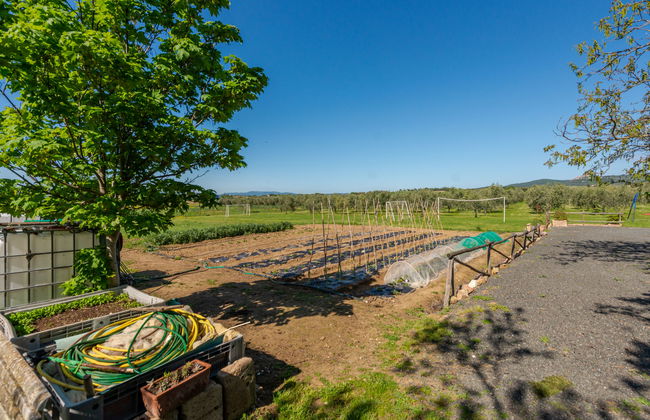 Bellosguardo - Foto 34