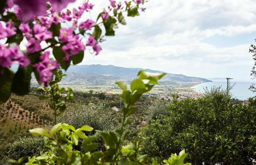 Tenuta la Selva Casa Pendio Cilento - Foto 1