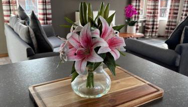 Hepburns Lodge 19 - Foto 5