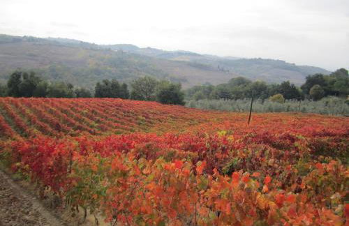 Le Fonti a San Giorgio - Foto 52