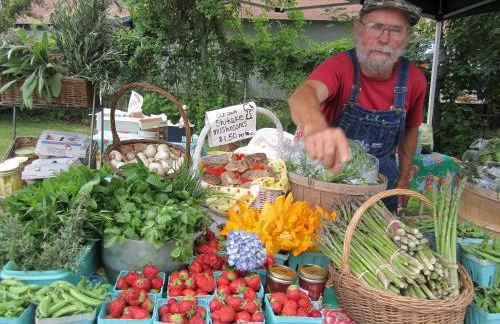 Villa Gavin - Foto 37