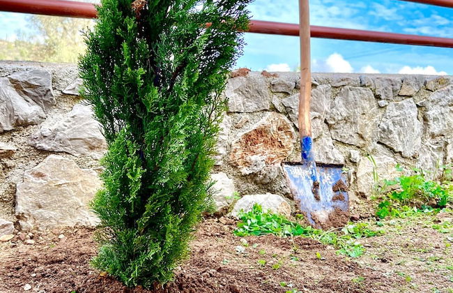 Villa Victory Porto Heli - Foto 50