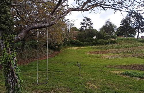 Au pied du Château d'Isenbourg, très beau F4 neuf avec jardin privé! - Foto 20