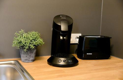 bonquartier - LUXAPT#1 Self Check-In mit Küche, Klimaanlage und Parkplatz - Foto 5