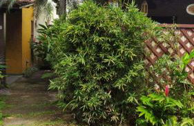 Chalé Pousada da Aldeia - Foto 50