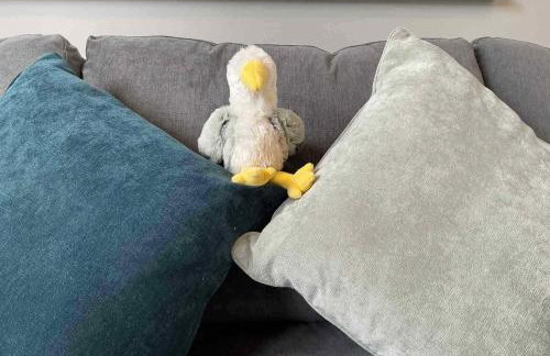 Holywell - Cwc - Foto 7