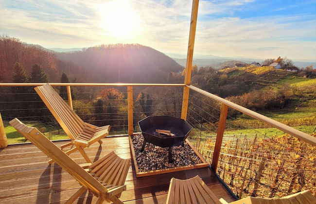 Vineyard cottage Soncni gric - Foto 16