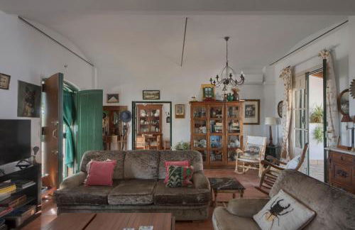 Finca Olivo Llorón - Foto 16