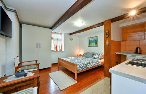 Awesome Home In Donja Pacetina - Foto 7