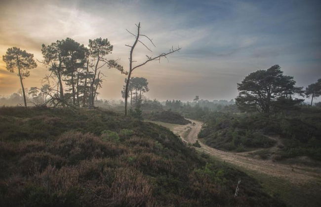 Chalet in Friesland Near Large Lakes - Foto 37