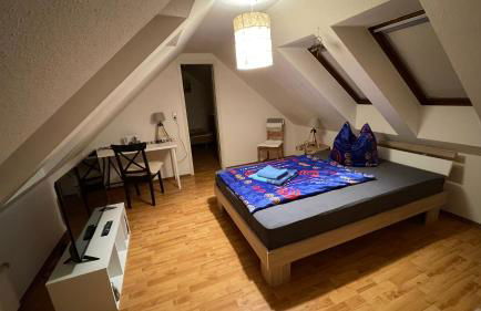 Großzügige Maisonette Wohnung über den Dächern Leipzigs - Foto 15