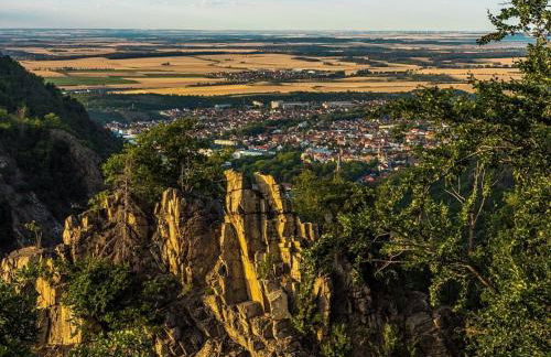 Ferienhaus Nr 32, Typ A, Ferienanlage Blauvogel, Hasselfelde, Harz - Foto 40