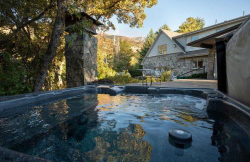 Hobbs Mill Ski Lodge Theater Games Dogs OK - Photo 2