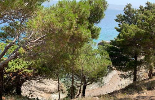 Omiš Relaxing Sea Lounge - Foto 39