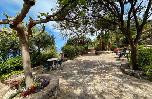 Vinya del mar - Foto 29