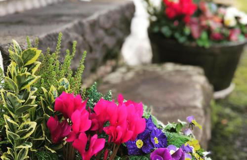 Nether Glenny Farm - Foto 17