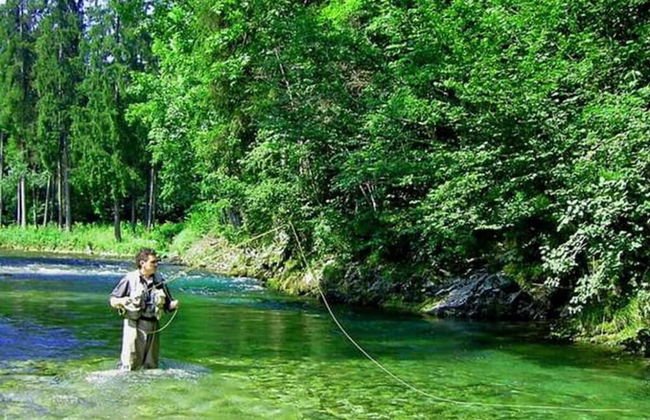 Apartment Untersberg - Foto 17