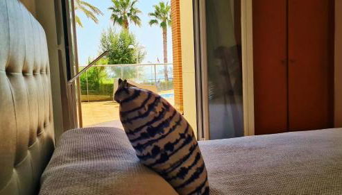 Terraza al Mar - Foto 5