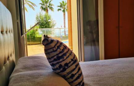 Terraza al Mar - Foto 5