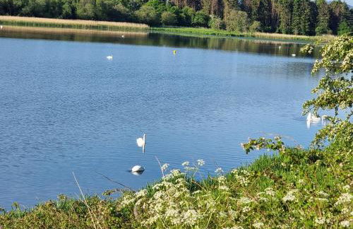 Kimadalyn - Photo 25