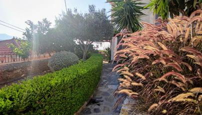 Hidden Gem with Sunset in the Aegean Sea, Two Traditional Homes in Ano Vathy, Samos - Foto 4, Garden, Garden view