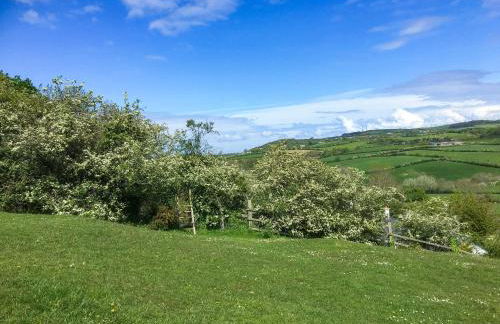 The Lodge - Photo 19