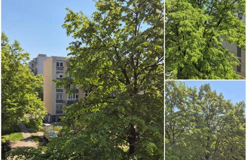 Iris Zagreb - Foto 26