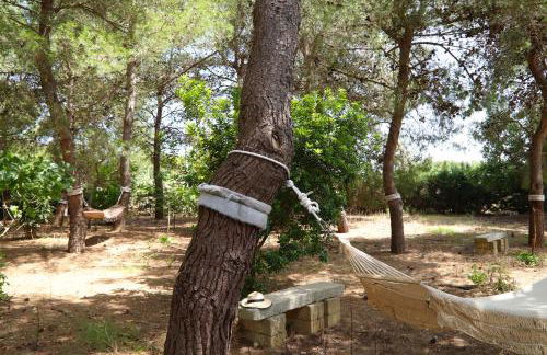 Azienda Agricola Francesca Stajano - Foto 20