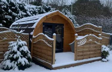 Conifer Cabins - Photo 31