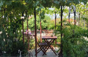 SUMMER TIME - Photo 25