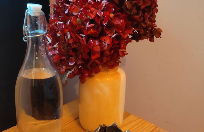 Associação Quinta das Relvas - Foto 35