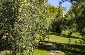 Villa Anna Lake View - Foto 33