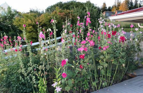 Breathtaking Port Ludlow Home with Deck and Yard - Foto 35