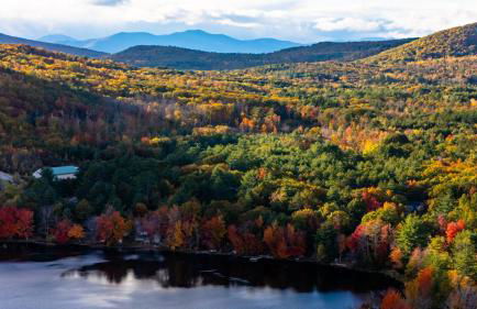 The Bear's Den - Foto 16