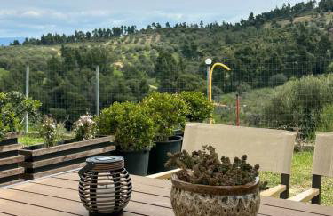 Alexandra's garden - Photo 68