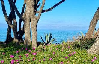 Maison U nidu à 500m de la mer - Foto 1