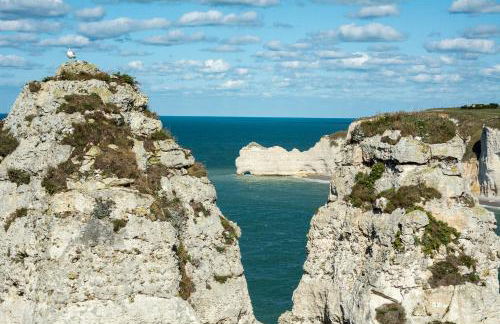 Les charmes Du Bosquet Parc d'Amour et Nature Parking Privé Sécurisé - Foto 50