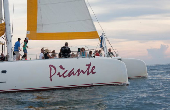 Sail into the Sunset: Picante’s Ocean Affair - Photo 7