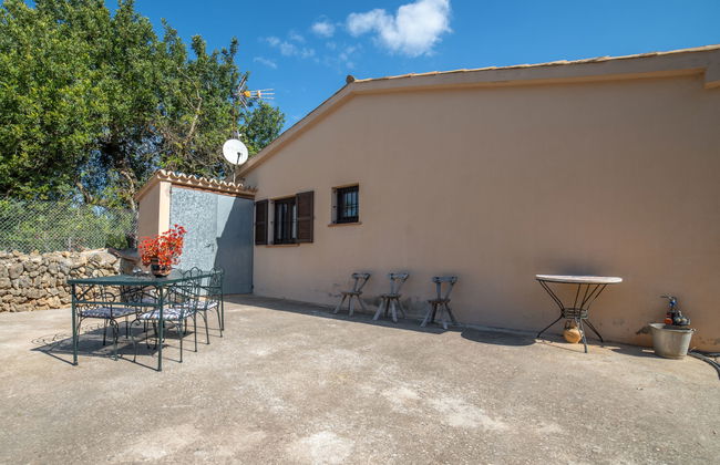 Son Catlar - Photo 28