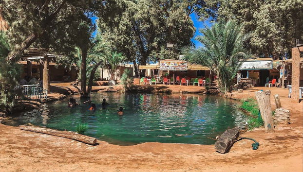 Aguas termales de Ksar Ghilane