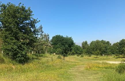 Quinta D' LuzArcoIris - Foto 47