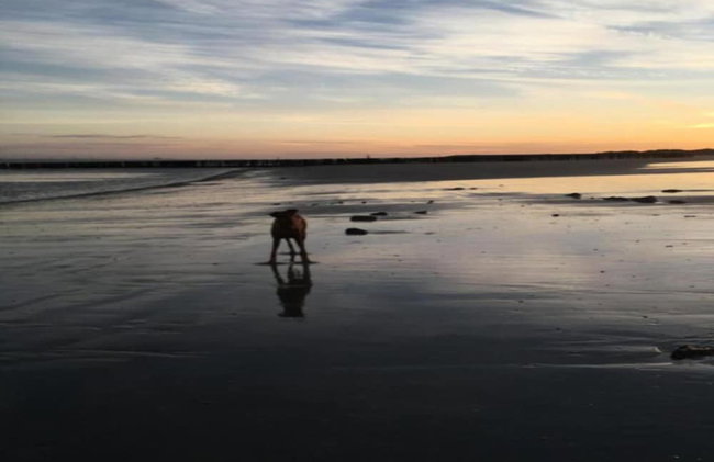 Breskens Haven: Relax, Explore & Dine - Photo 35