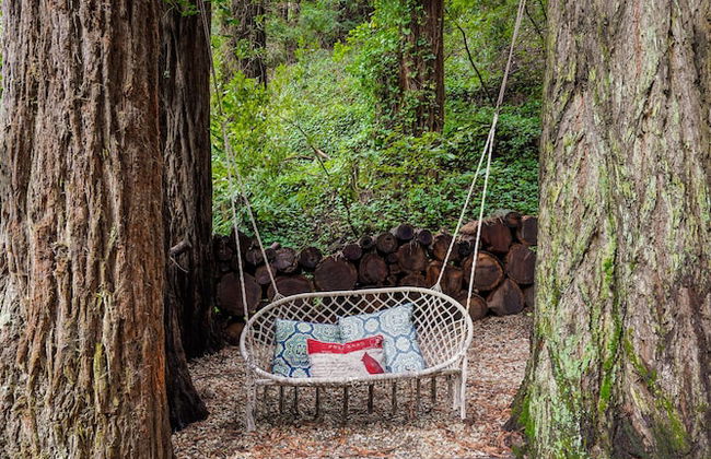 Pacific Coast Redwoods Cabin for Family - Foto 66