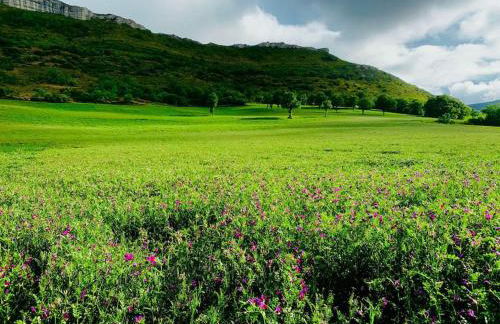 CASA RURAL. COVARACINO OJO GUAREÑA - Photo 58