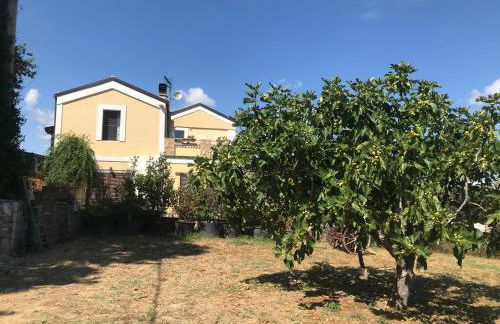 Casale Vincenzo Country House - Foto 7